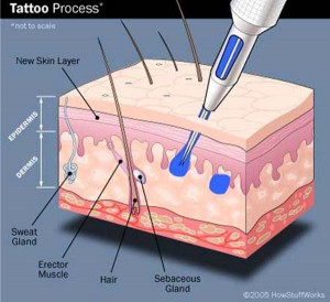 The needle of a modern tattoo machine punctures the skin, inserting ink into the dermis.