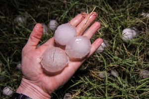Sometimes hail can be surprisingly large. (Image: State Farm).